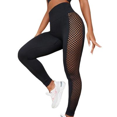 China Breathable Fashion High Waist Woman Yoga Pants Mesh Hollow Out Sexy Slim Yoga Plus Size Leggings Plus Size Women Pants for sale