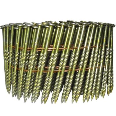 China Plain or Mesh Head Coil Roofing Nails / Coil Nails For Pallet Price Coiled Rag Nail for sale