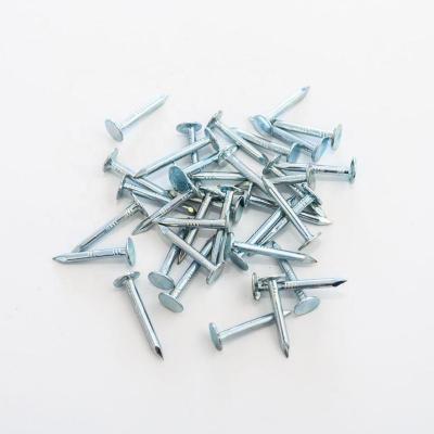 China Factory 3.1*90mm Flat Screw Leg Paddle Nails 3 Inch Coil Nails Handle Rite Coil Rag Nail Wire Welding Wood Paddle Making for sale