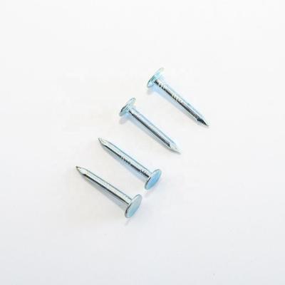 China Flat China Factory Wholesale Price Galvanized Nails / Cloth Nails / Roofing Nails for sale