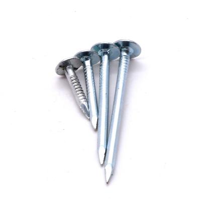 China Electro Flat Galvanized Roofing Seal Nail Umbrella Head Zinc Roofing Nail Twist Smooth Clavos Coil Roofing Nails for sale