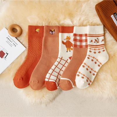 China Factory Women Antibacterial High Quality Professional Cute Pattern Cotton Thick Socks for sale