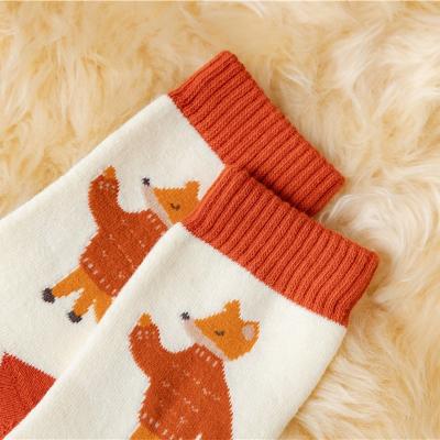 China Antibacterial Funny Pattern Cotton Novelty Fashion Embroidery Women Thick Warm Socks for sale