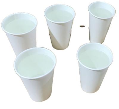 China 8 12 16 oz Paper Cups Recyclable Disposable White Plain Paper Cup Material For Hot Cold Drink Wholesale With Cover Lids for sale