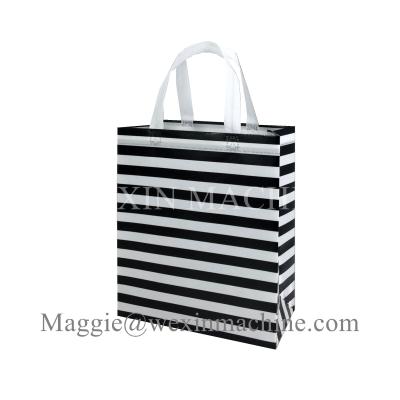 China Reusable Conference Event Place Promotional Non Woven Bags /Garment  Bag Price en venta