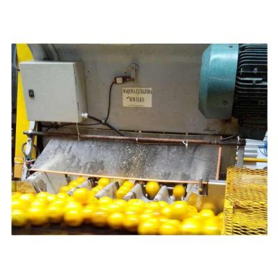 China food & Beverage factory pineapple pulp\complete mash machine\jam\processing line for sale