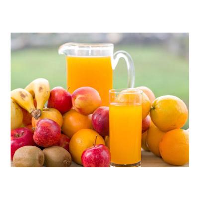 China food & Beverage Factory High Level Juice Making Machine For Fresh Fruit for sale