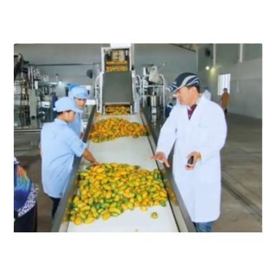 China food & Beverage Factory Mango Processing Machinery Fruit Processing Line for sale