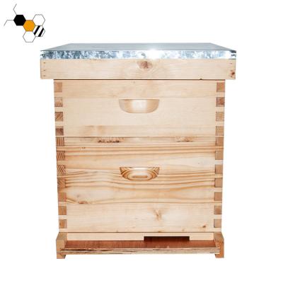 China Bee Farm Langstroth Hive 10 Frame Wax Coated Wooden Bee Hive for sale