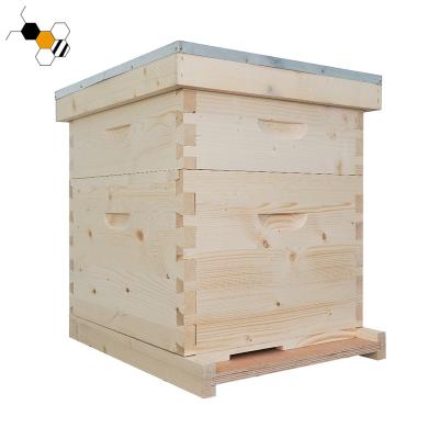 China Agriculture China Fir Dadant Bee Hive Wooden Dadant Hive for sale