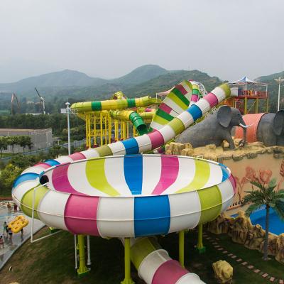 China Large Teenager/Family Water Play Equipment Kids Playground Park Adult Outdoor Commercial Water Slide for sale