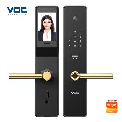 China Hotel/Room/Apartment/Airbnb VOC Electric Digital Smart Home Door Lock Lock Gold With Fingerprint Door Bell Cat Key Visible HD Screen for sale