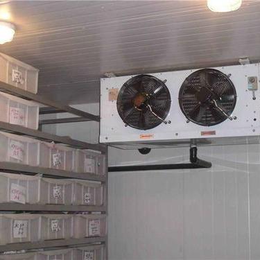 China Building Material Shops beef meat cold room for Dubai chicken frozen cold room for sale