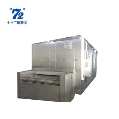 China Hotels Frozen Food Machine For Fish Cold Storage for sale