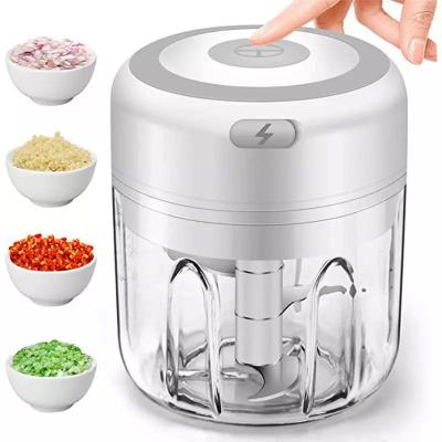 China Mini USB Garlic Press Viable Electric Onion Meat Vegetable Chopper Multifunction Wireless Food Grinder Machine 100ml/250ml for sale