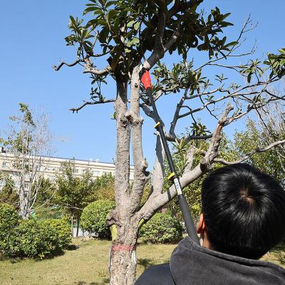 China The Essential Tool Professionals Adjustable Telescopic Pole Chainsaw for Tree for sale