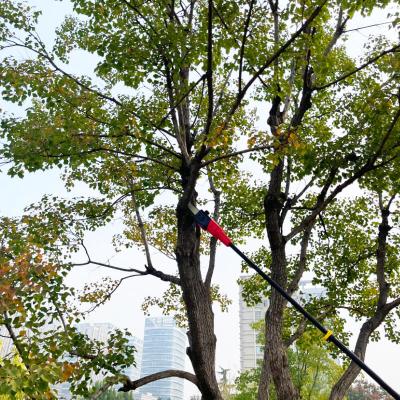 중국 망원경 연장 기둥 체인 시어 배터리 가동 180cm에서 300cm까지 조절 판매용