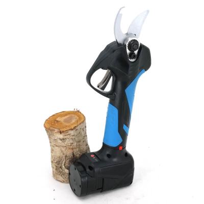 China Professional 21V Brushless Portable Cordless Pruner Electric Fruit Tree and Garden Scissors for Pruning en venta