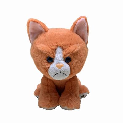 China New Design Gift/Toys/Plushtoys 2019 Cute Cat Toy New Design Face Cat Feeling Expression Angry Cat Toy for sale