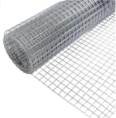 China New Type Top Sale 1/2 inch Chicken Wire Fence PVC Coated Welded Mesh Wire bird cages for sale