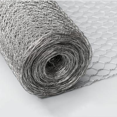 China Ökonomisches kundenspezifisches Design Galvanisiertes Sechseckdrahtnetz Zaun Hühnerstall Netting für Außenbauernhof Zaun zu verkaufen