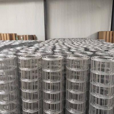 China Ampliamente utilizado Superior calidad más vendido certificación ISO galvanizado en caliente sumergido malla de alambre soldado en venta