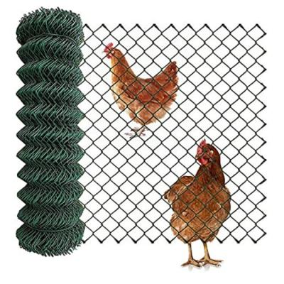 China Hochwertige 25mm x 25mm 6ft 8ft Kettenverbindung Zaun PVC beschichtet Diamant Loch Zyklon Wire Mesh Rolls Preis zu verkaufen