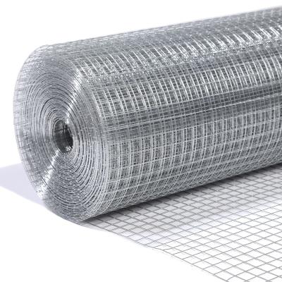 China High Quality Finest Price Square Mesh Fence Mesh Galvanized After Welding Hot Dipped Galvanized Welded Wire Mesh Roll for sale