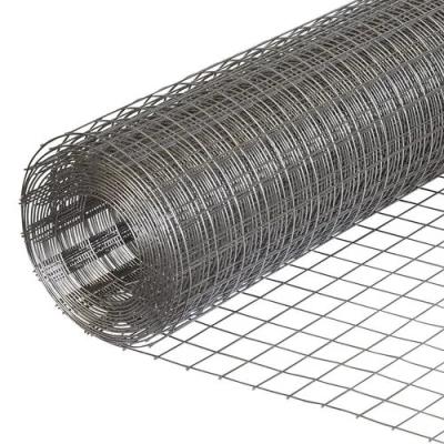 China Technique Welded Mesh Galvanized Wire Mesh Rolls/1/2 Inch Square Hole Wire Mesh Rolls for sale