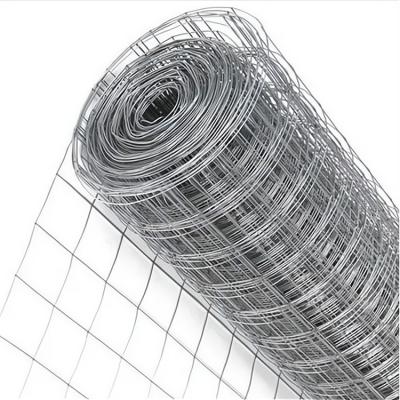 China Protection Welded Wire Mesh Roll Iron Welded Wire Mesh Roll from Manufacturers Direct Sale for sale