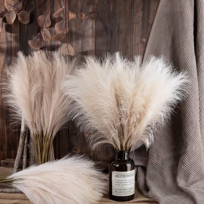 China Modern Hot Selling Artificial Pampas Grass Faux Flowers Wedding Home Decoration Pampas Reed Artificial Plants for sale