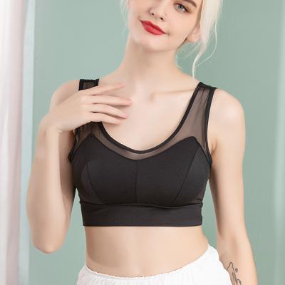 China New Design Lace Belt Pakaian Dalam Seamless Plasticity Push Up Wireless Bra Women Shockproof Seamless Bra for sale