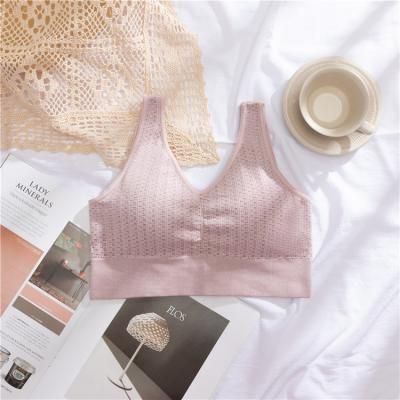 China China Manufacturer Antibacterial Non-wired Bra & Vest Style One Piece Low Bra With Chest Pad for sale