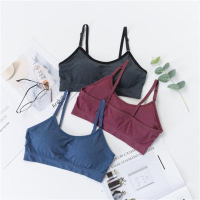 China Factory Wholesale Antibacterial New Design Antibacterial Top Solid Strap Full Cup Cotton Wireless Bra For Women for sale