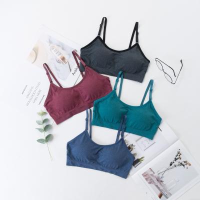 China China Factory Antibacterial Underwear Wholesale Women No Small Steel Ring Chest Gather Bra for sale