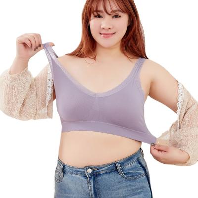 China Factory Wholesale Plain Seamless Dyed Comfortable And Breathable Lace Back Beautiful Plus Size Seamless Top Bra With Women for sale