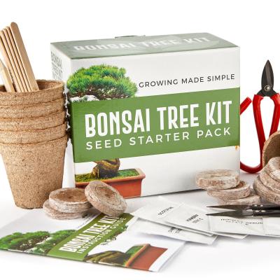 China Europe Grow Your Own Bonsai Trees From Seeds Gift Gardening Set Include 5 Bonsai Bonsi Tools Tree Seeds Species Starter Bonsai Kit for sale