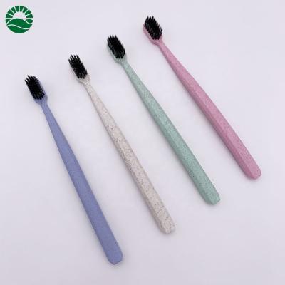 China New Wheat Straw Daily Biodegradable Charcoal Adult Toothbrush for sale