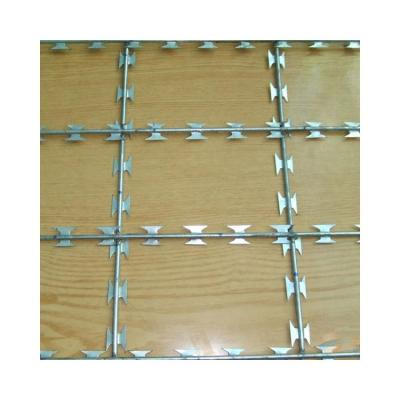 China Viable Original Factory Wholesale Eco Friendly Galvanized Razor Barbed Wire Fence for sale