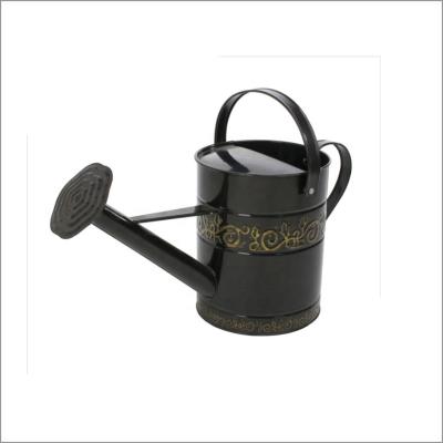 China French Vintage Garden Galvanized Steel Metal Watering Can Outdoor Watering Pot for sale