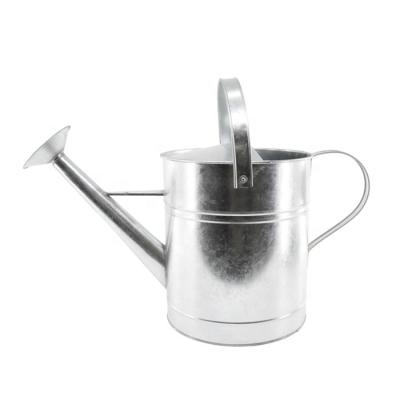 China Garden Watering Tools Cheap Garden Galvanized Metal Watering Can for sale