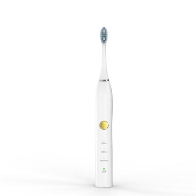 China 2021 Hot Selling Adult Electric Toothbrush Vibrator 3w Washable Electric Toothbrush 37*37*247mm for sale