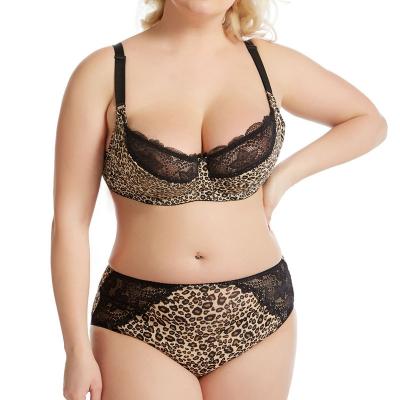 China Minimizer Viable Good Support Bras Medium Underwire Size Briefs Women Plus Size Leopard Bra and Panty Sets Lingerie Set for sale