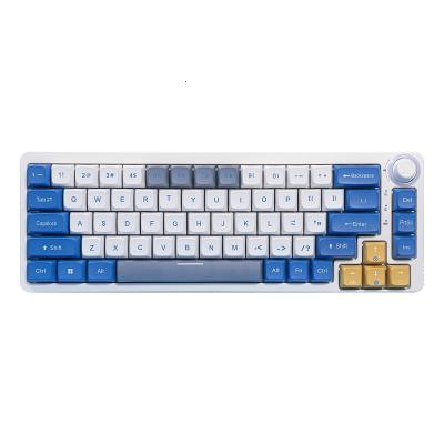 China Hot Swap Mechanical Hot Swap Switch 2.4G Mechanical Radio Wired BT Mechanical Keyboard 68 Keys Hot Swap RGB Mni Keyboard For iPad for sale