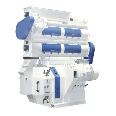 China Grains Pellet Mill Custom High-quality Special Design Widely Used Engineering Company for sale