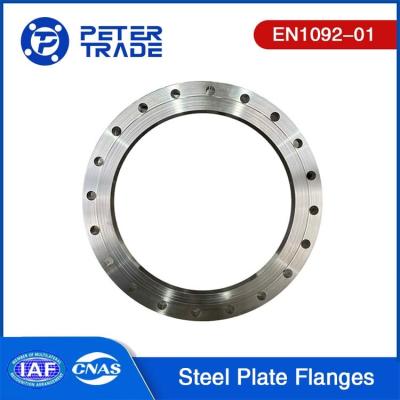 China EN1092-01 SS304 SS316 Plate Flange TYPE 01 Hoogdruk PN 100 PLFF DN10-DN350 Voor olie- en gasleidingen Te koop