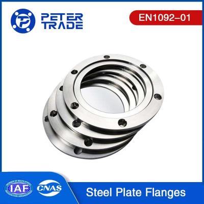 China EN1092-01 PN 6 TYPE 01 Carbon Steel Plate Flange Blind PLFF PLRF For Industrial Purposes for sale