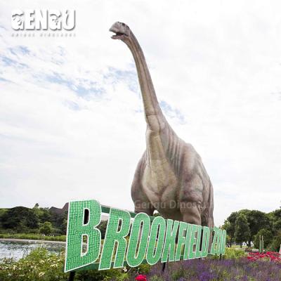 China Realistic Large Dinosaur Dinosaur Theme Park Equipment Realistic Dinosaur Model for sale