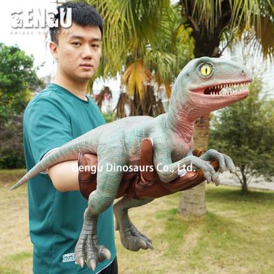 China Small Animatronic Dino Park Dino Park Realistic 3D Dinosaur Baby Dinosaur Puppet for sale