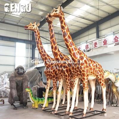 China Lifesize Fiberglass Giraffe Outdoor Playground Model Artificial Animal Statue for sale